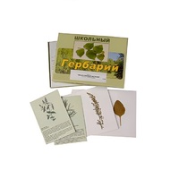 Гербарий "Лекарственные растения" (22 вида, с иллюстрациями) - «globural.ru» - Кировград