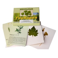 Гербарий "Систематика растений. Высшие споровые и семенные" (раздаточный) - «globural.ru» - Кировград