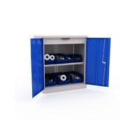 Шкаф инструментальный 181/2 №7  - «globural.ru» - Кировград