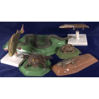 Комплект моделей "Позвоночные животные" (8 штук) - «globural.ru» - Кировград