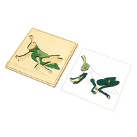 Строение кузнечика с контуром - «globural.ru» - Кировград