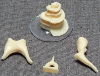 Модель "Косточки слуховые" - «globural.ru» - Кировград