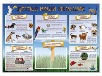 Стенд-уголок "Друзья наши меньшие" - «globural.ru» - Кировград