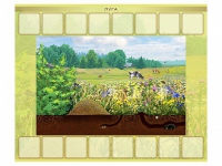 Магнитно-маркерный плакат "Луга" с набором магнитных карточек + методические рекомендации - «globural.ru» - Кировград