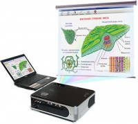 Диск с электронными плакатами, презентациями (электронный учебник) по биологии (150 тем)  - «globural.ru» - Кировград