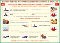 Таблица Порядок действий при коматозном состоянии пострадавшего 1000*1400 винил - «globural.ru» - Кировград