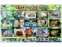 Комплект оборудования "Живой уголок" (животные) с тифлопереводом и сурдокомментариями - «globural.ru» - Кировград