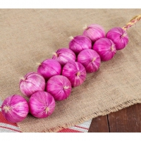 Муляжи "Связка лука" - «globural.ru» - Кировград