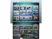 Комбинированный модульный комплекс "Лого-биолог" - «globural.ru» - Кировград