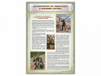 Стенд "Мероприятия обязательной подготовки граждан к военной службе" - «globural.ru» - Кировград