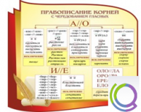 Стенд "Правописание корней с чередованием гласных" - «globural.ru» - Кировград
