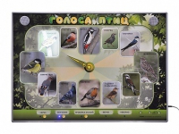 Электрифицированный стенд-часы "Голоса птиц" с комплектом дидактического материала - «globural.ru» - Кировград