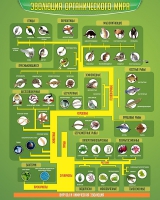 Стенд "Эволюция органического мира" - «globural.ru» - Кировград