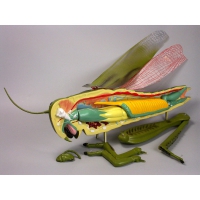 Модель "Кузнечик" - «globural.ru» - Кировград