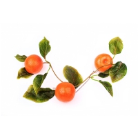 Муляж "Ветка мандарин" - «globural.ru» - Кировград