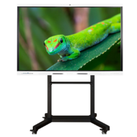 Интерактивный комплекс Geckotouch ​​​​​​​86RK - «globural.ru» - Кировград