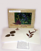 Гербарий Дикорастущие растения (28 видов) - «globural.ru» - Кировград