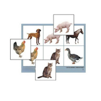 Лото "Домашние животные" (4 планшета, 24 карточки, цветное, ламинированное) - «globural.ru» - Кировград