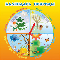 Стенд "Календарь природы" 0.5x0.5 - «globural.ru» - Кировград