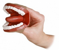 Муляж артикуляционного аппарата - «globural.ru» - Кировград