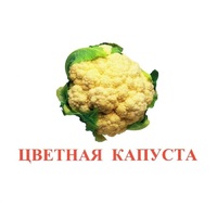 Карточки Домана "Овощи-Зелень-2" - «globural.ru» - Кировград