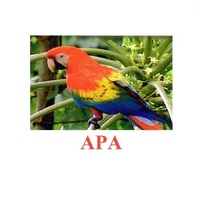 Карточки Домана "Птицы-2" - «globural.ru» - Кировград