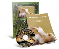 Электронное наглядное пособие «Цитология и генетика» - «globural.ru» - Кировград