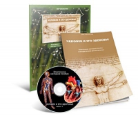 Электронное наглядное пособие «Человек и его здоровье» - «globural.ru» - Кировград