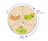 Развивающий пазл Навито "Эволюция" - «globural.ru» - Кировград