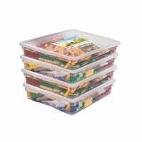 Набор для конструирования «Фанкластик: весь мир в руках твоих 4 (4-5 лет)» - «globural.ru» - Кировград