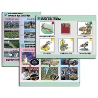 Комплект таблиц для  начальной школы "Окружающий мир. Экология" - «globural.ru» - Кировград