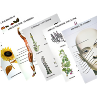 Таблицы по природоведению 1-3 класс - «globural.ru» - Кировград