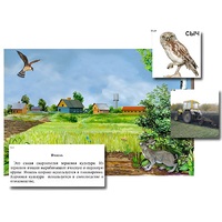 Магнитный плакат-аппликация "Поле: биоразнообразие и взаимосвязи в сообществе" - «globural.ru» - Кировград