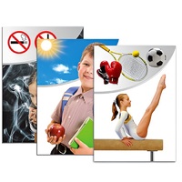 Модель-аппликация "Здоровье человека" - «globural.ru» - Кировград