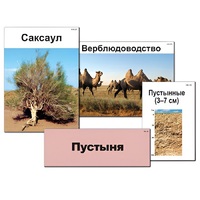 Модель-аппликация "Природные зоны России" - «globural.ru» - Кировград