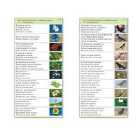 Комплект карточек (10) "Обучающий калейдоскоп. Природа" - «globural.ru» - Кировград