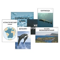 Модель-аппликация "Океаны. Знакомство" (ламинированная) - «globural.ru» - Кировград