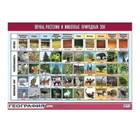 Таблица демонстрационная "Почвы, растения и животные природных зон" (винил 100x140) - «globural.ru» - Кировград