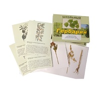 Гербарий "Систематика растений. Семейство Бобовые. Злаки" (раздаточный) - «globural.ru» - Кировград