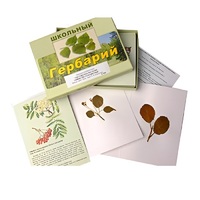 Гербарий "Систематика растений. Семейство Розоцветные" (раздаточный) - «globural.ru» - Кировград