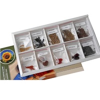 Коллекция "Плоды сельскохозяйственных растений" (вариант 2) - «globural.ru» - Кировград