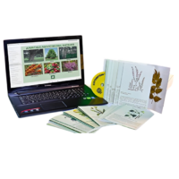 Гербарий натурально-интерактивный "Лекарственные растения" - «globural.ru» - Кировград