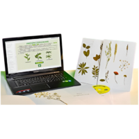 Гербарий натурально-интерактивный "Морфология растений" - «globural.ru» - Кировград