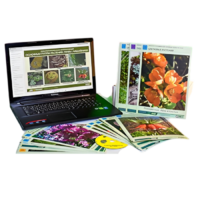 Гербарий натурально-интерактивный "Основные группы растений. Грибы. Лишайники" - «globural.ru» - Кировград