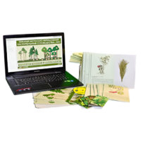 Гербарий натурально-интерактивный "Растительные сообщества. Лес" - «globural.ru» - Кировград