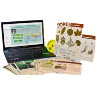 Гербарий натурально-интерактивный к курсу основ общей биологии - «globural.ru» - Кировград