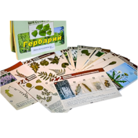 Гербарий к курсу основ общей биологии - «globural.ru» - Кировград