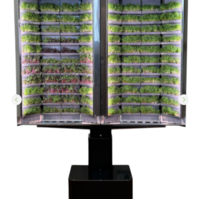 Вертикальная  ферма «Моя микрозелень» комплектация  «Театро настенная» - «globural.ru» - Кировград