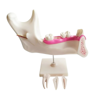 Комплект моделей - «globural.ru» - Кировград