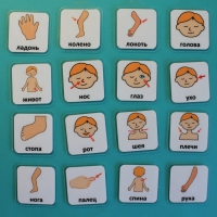 Набор карточек "Части тела" - «globural.ru» - Кировград